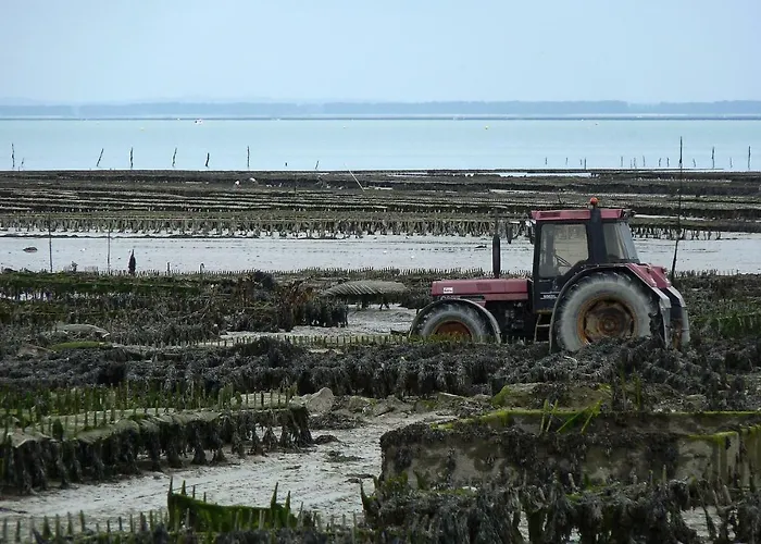 Bijoux בית הארחה Argouges
